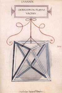 Octaedro Darko Waaller 7